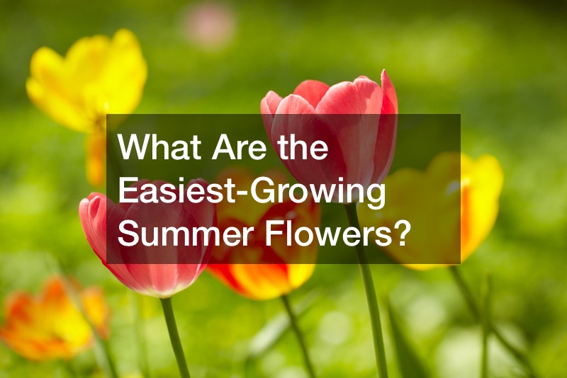 What Are the Easiest-Growing Summer Flowers?