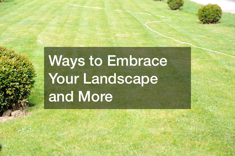 Ways to Embrace Your Landscape and More