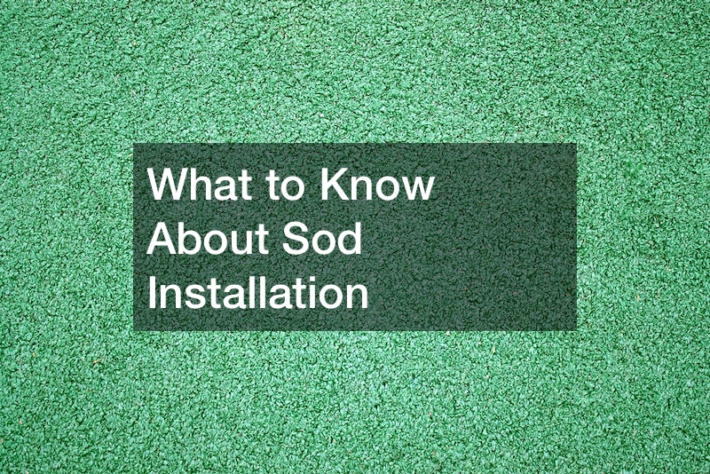 What to Know About Sod Installation