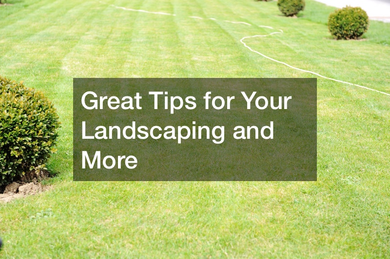 Great Tips for Your Landscaping and More