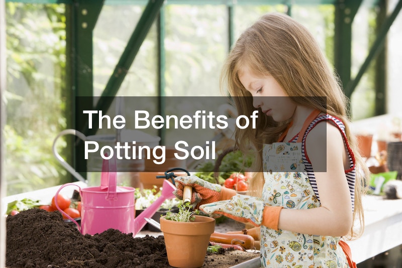 The Benefits of Potting Soil