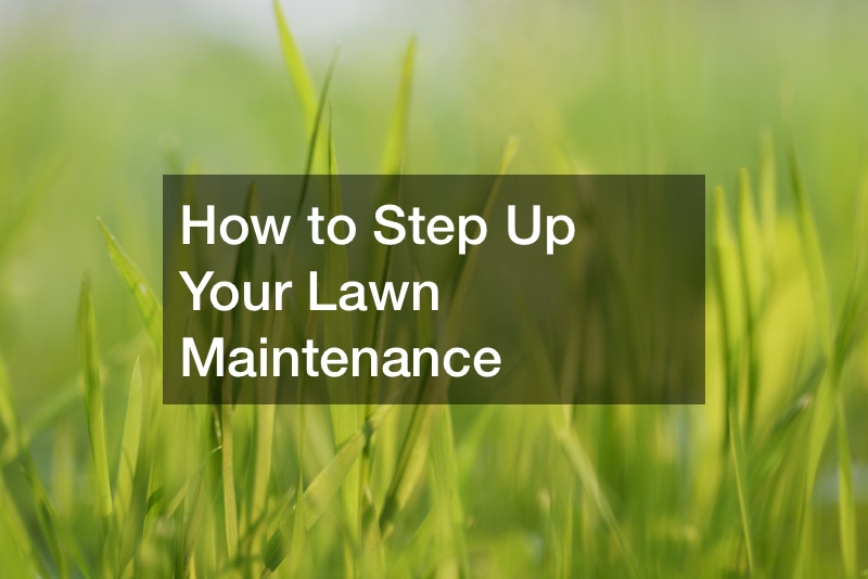 How to Step Up Your Lawn Maintenance