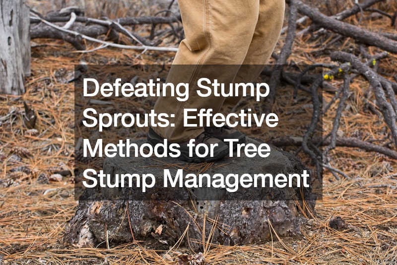 Defeating Stump Sprouts: Effective Methods for Tree Stump Management