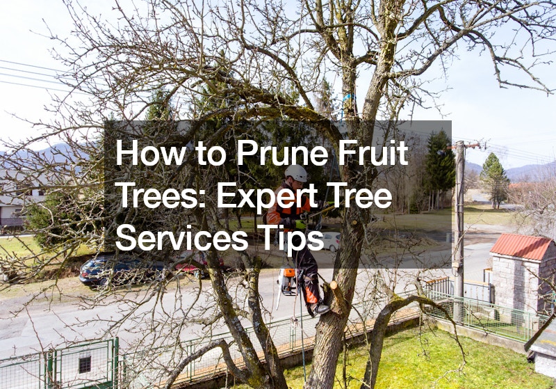 How to Prune Fruit Trees  Expert Tree Services Tips