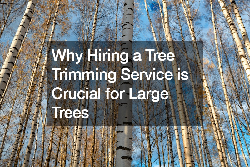 Why Hiring a Tree Trimming Service is Crucial for Large Trees