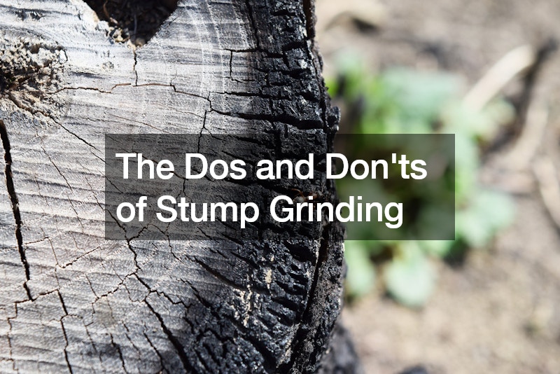 The Dos and Donts of Stump Grinding
