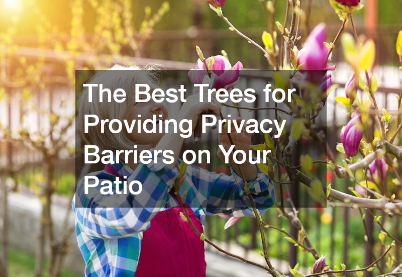 The Best Trees for Providing Privacy Barriers on Your Patio