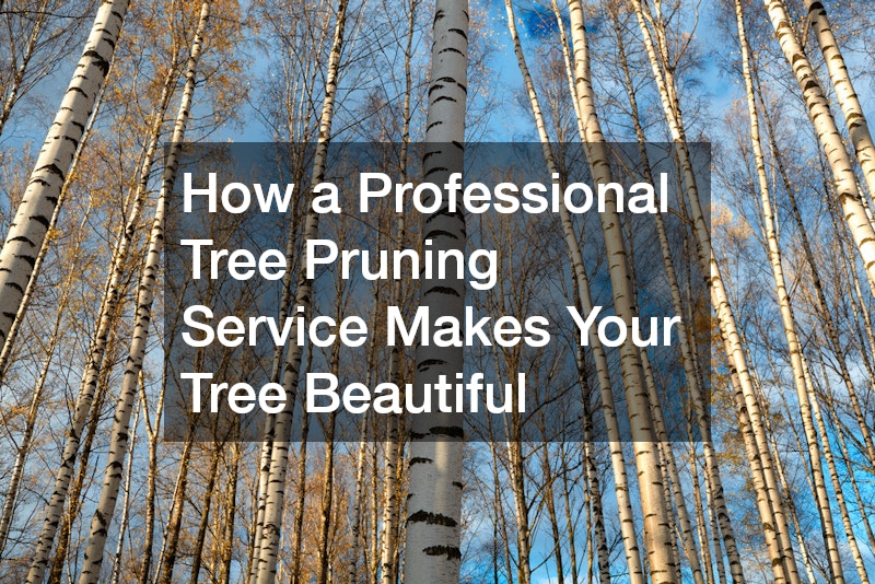 How a Professional Tree Pruning Service Makes Your Tree Beautiful