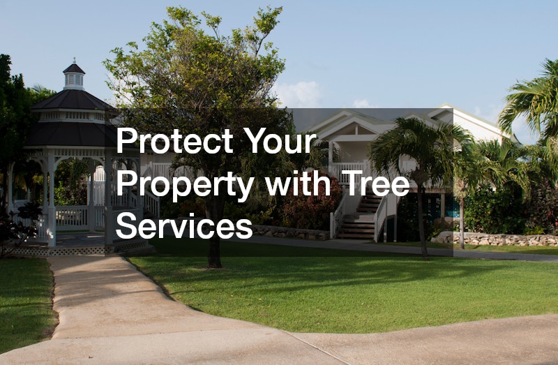 Protect Your Property with Tree Services