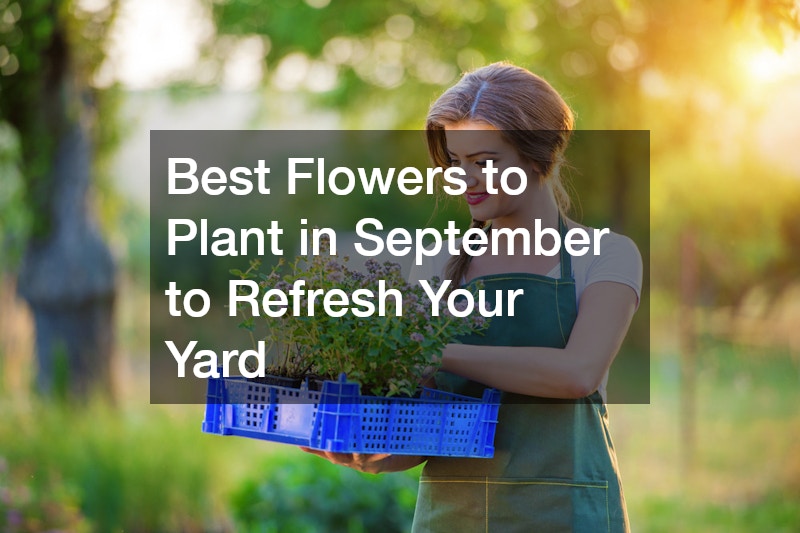 Best Flowers to Plant in September to Refresh Your Yard