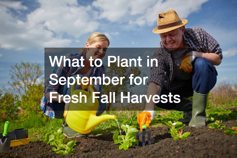 What to Plant in September for Fresh Fall Harvests