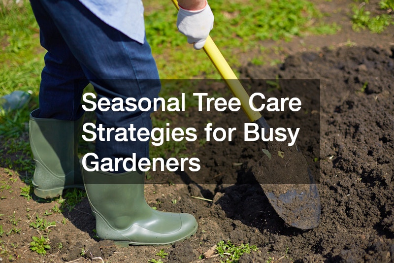 Seasonal Tree Care Strategies for Busy Gardeners