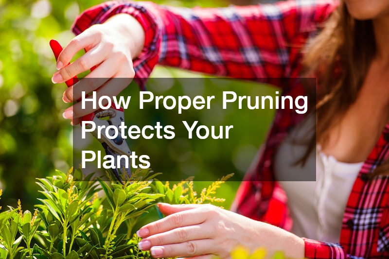 How Proper Pruning Protects Your Plants